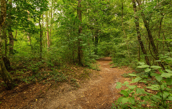 Vakantiehuis - Erm , Nederland - HDR325 808