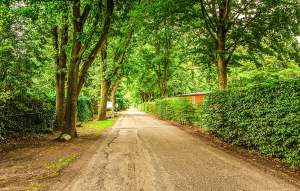 Semesterhus - Erm , Holland - HDR330 909