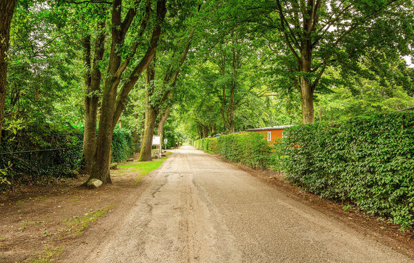 Vakantiehuis - Erm , Nederland - HDR332 906
