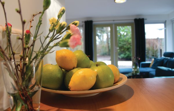 Vakantiehuis Fonteinbos