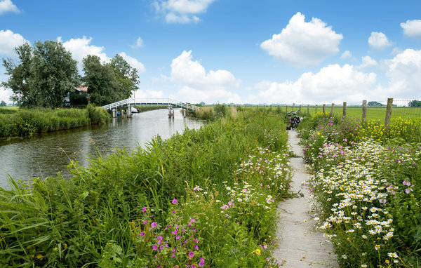Ferienhaus - Boazum , Holland - HFR152 901