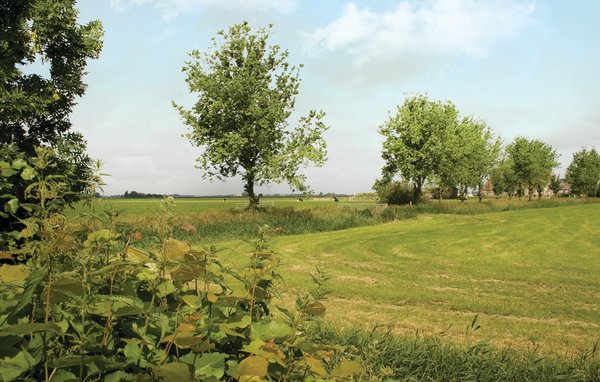 Ferienhaus - Boazum , Holland - HFR152 903