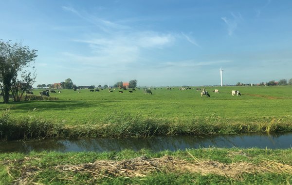 Ferienhaus - Tzummarum , Holland - HFR320 909