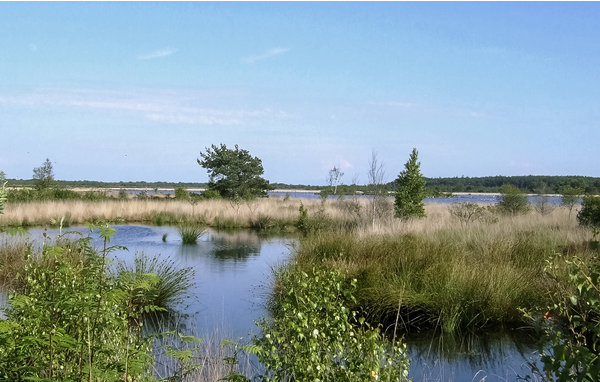 Casa de vacaciones - Oosterwolde , Holanda - HFR356 905