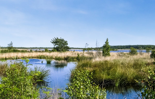 Holiday Home - Oosterwolde , Holland - HFR359 904