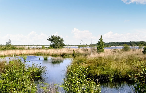 Domy wakacyjne - Oosterwolde , Holandia - HFR368 905