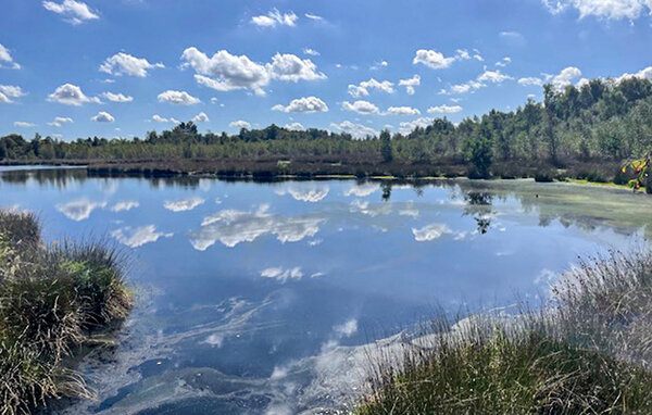 Holiday Home - Oosterwolde , Holland - HFR369 907