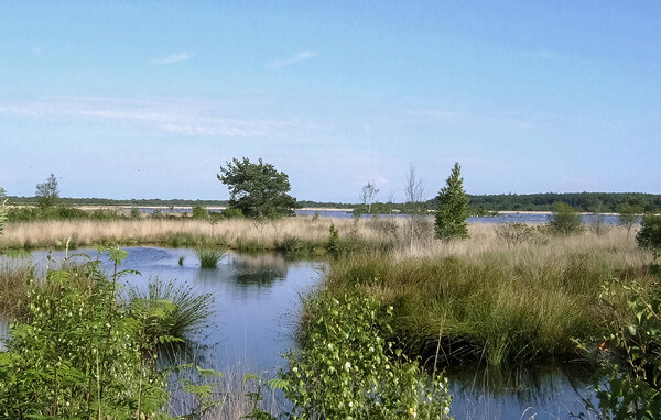 Ferienhaus - Oosterwolde , Holland - HFR373 9