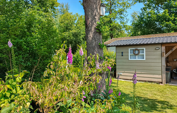 Ferienhaus - Oosterwolde , Holland - HFR386 104