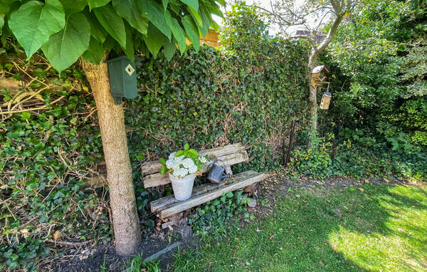 Vakantiehuis - Oudeschoot , Nederland - HFR471 105