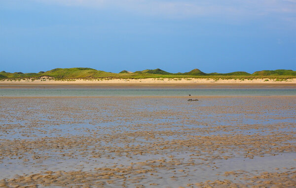 Ferienwohnung - Schiermonnikoog , Holland - HFR479 905
