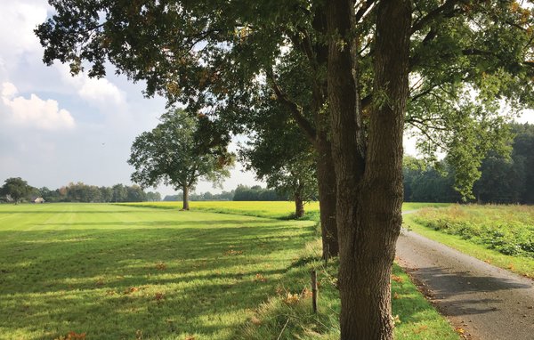 Vakantiehuis 