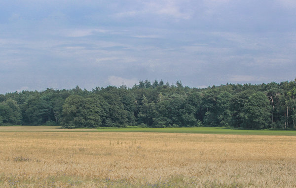 Domy wakacyjne - Loerbeek , Holandia - HGE083 902