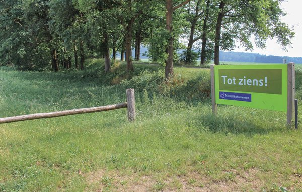 Domy wakacyjne - Loerbeek , Holandia - HGE083 904