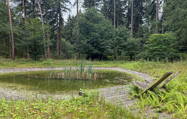 Vakantiehuis - Epe , Nederland - HGE123 104