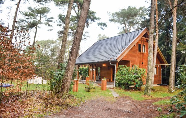 Ferienhaus Boshuisje Veluwe Goudplevier