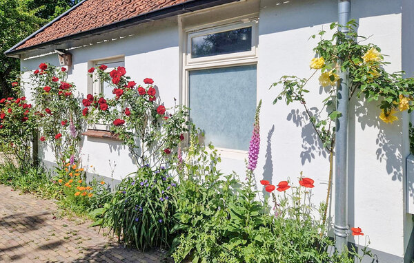 Ferienhaus - Steenenkamer , Holland - HGE269 103