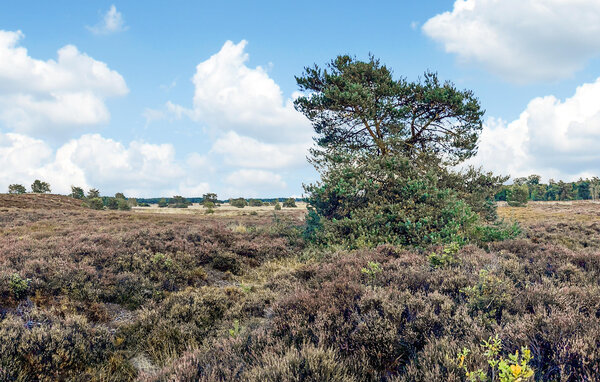 Casa de vacaciones - Voorthuizen , Holanda - HGE315 901
