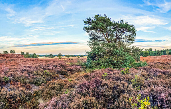 Semesterhus - Voorthuizen , Holland - HGE316 906