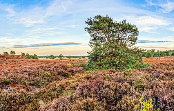 Ferienhaus - Voorthuizen , Holland - HGE908 905