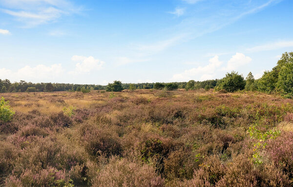 Ferienhaus - Voorthuizen , Holland - HGE909 904