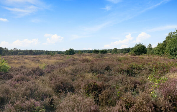Domy wakacyjne - Voorthuizen , Holandia - HGE995 905