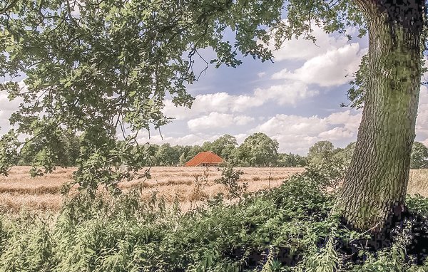 Domy wakacyjne - Vlagtwedde , Holandia - HGR025 908