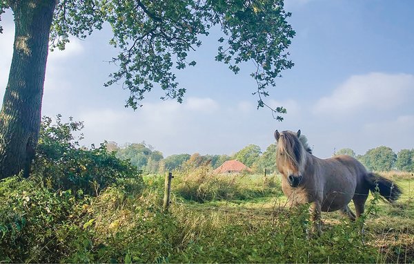 Domy wakacyjne - Vlagtwedde , Holandia - HGR027 913