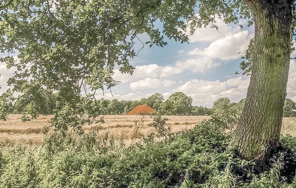 Domy wakacyjne - Vlagtwedde , Holandia - HGR028 909