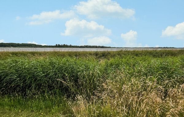 Vakantiehuis - Lauwersoog , Nederland - HGR099 106