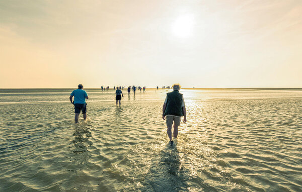Vakantiehuis - Lauwersoog , Nederland - HGR109 908