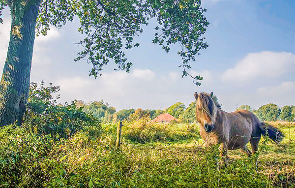 Holiday Home - Vlagtwedde , Holland - HGR112 9