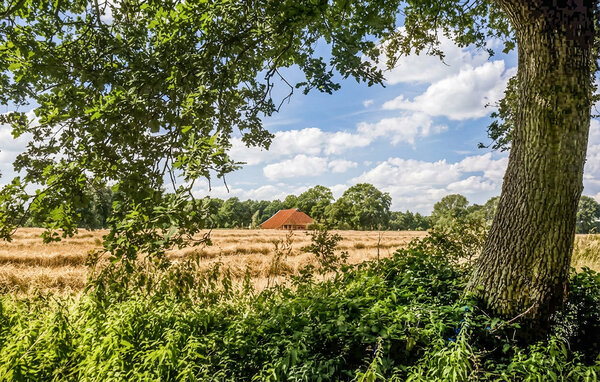 Kuća-za-odmor - Vlagtwedde , Nizozemska - HGR113 907