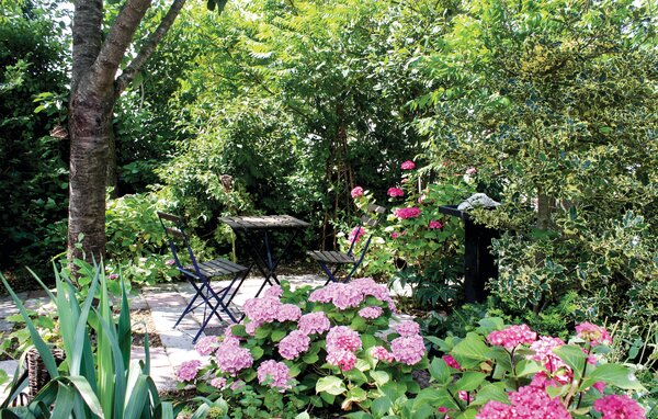 Location de vacances - Lauwerzijl , Hollande - HGR116 902