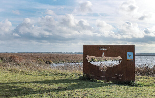 Vakantiehuis - Lauwersoog , Nederland - HGR185 908