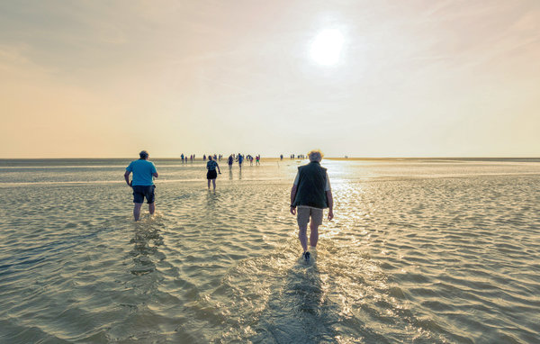 Vakantiehuis 