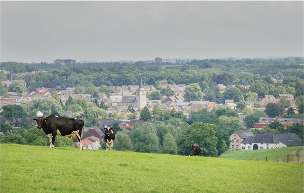 Ferienwohnung - Simpelveld , Holland - HLI053 901