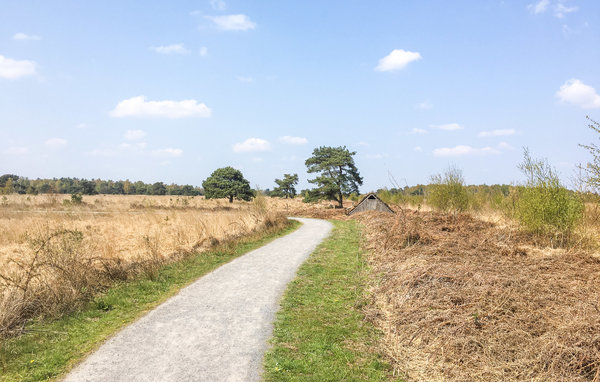 Holiday Home - Meijel , Holland - HLI085 901