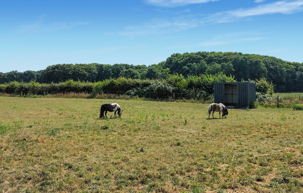 Semesterhus - Beesel , Holland - HLI097 901