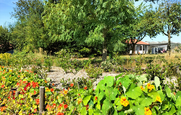 Semesterhus - Beesel , Holland - HLI097 106