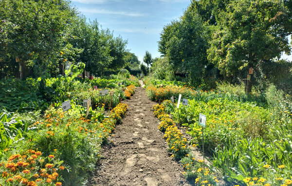 Semesterhus - Beesel , Holland - HLI097 109