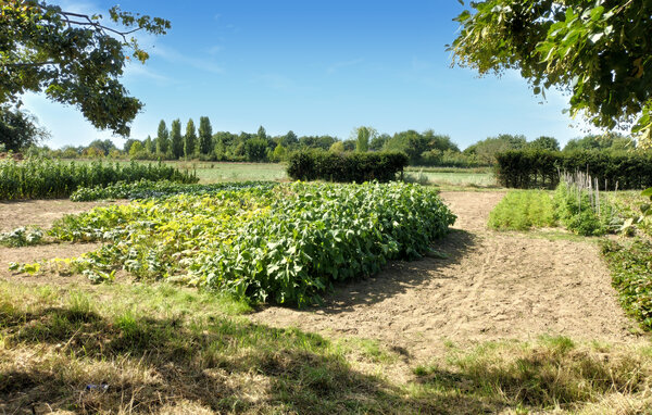 Semesterhus - Beesel , Holland - HLI097 111