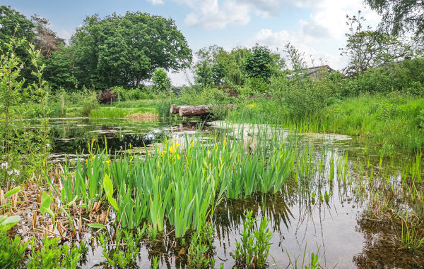 Holiday Home - Grashoek , Holland - HLI131 903