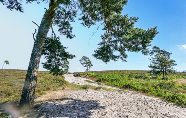 Ferienhaus - Afferden , Holland - HLI507 909