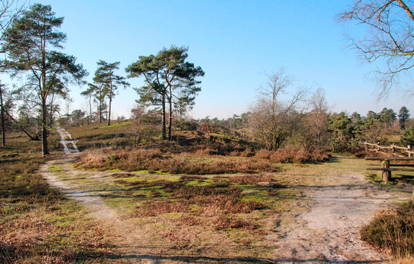 Ferienhaus - Afferden , Holland - HLI512 908