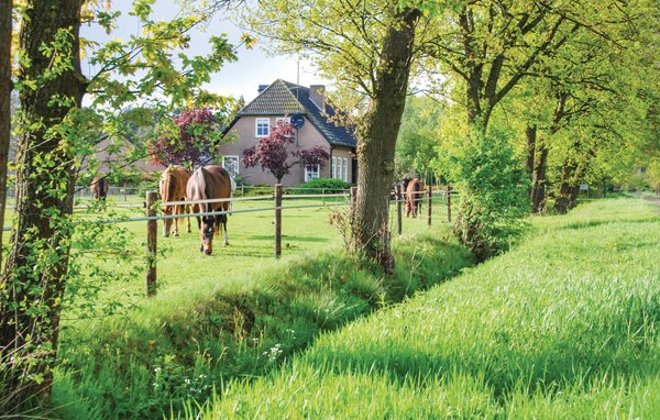 Ferienhaus De Plek