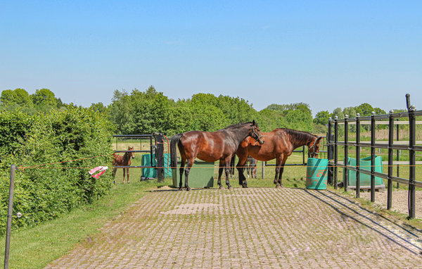Kuća-za-odmor - Udenhout , Nizozemska - HNB084 903