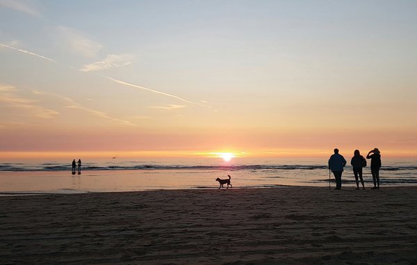 Ferienhaus - Egmond aan zee , Holland - HNH028 907