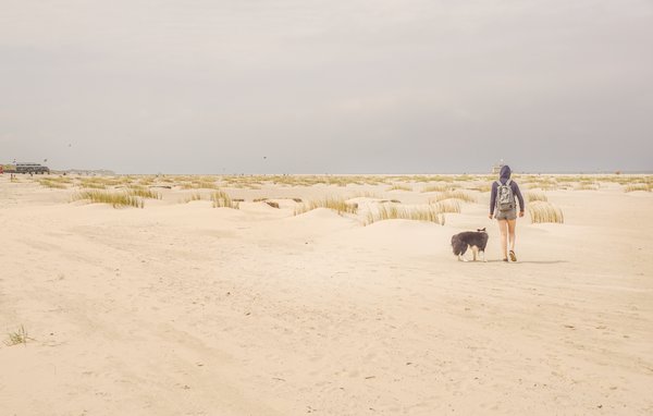 Vakantiehuis - Egmond aan zee , Nederland - HNH073 904