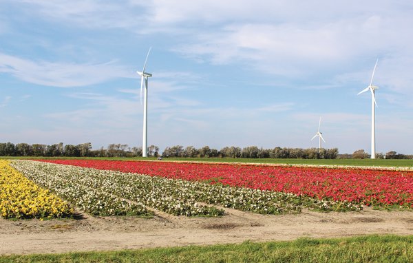 Feriebolig Hoeve Alegria